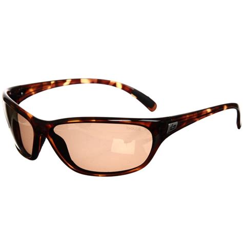 overstock sunglasses